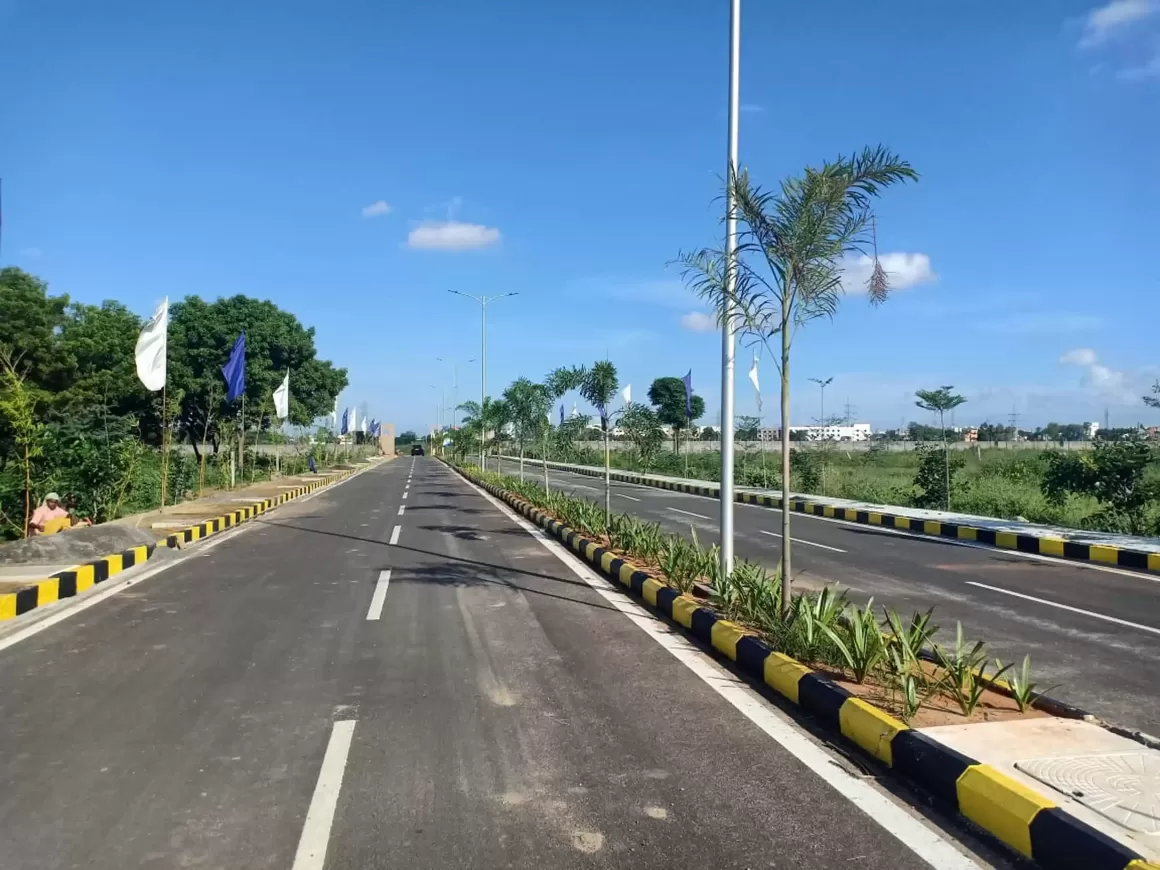 blue whale developers