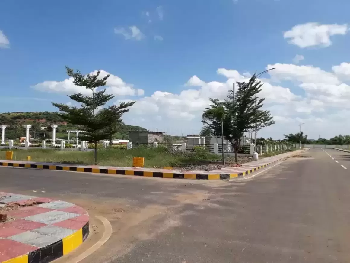 blue whale  developers