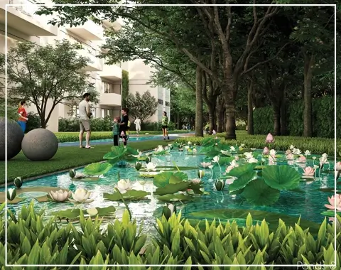 tulip monsella Gardens