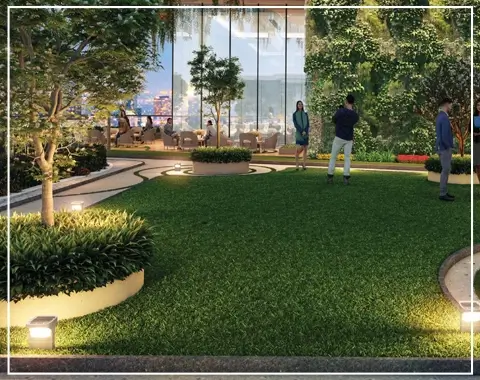 Tulip Monsella Images